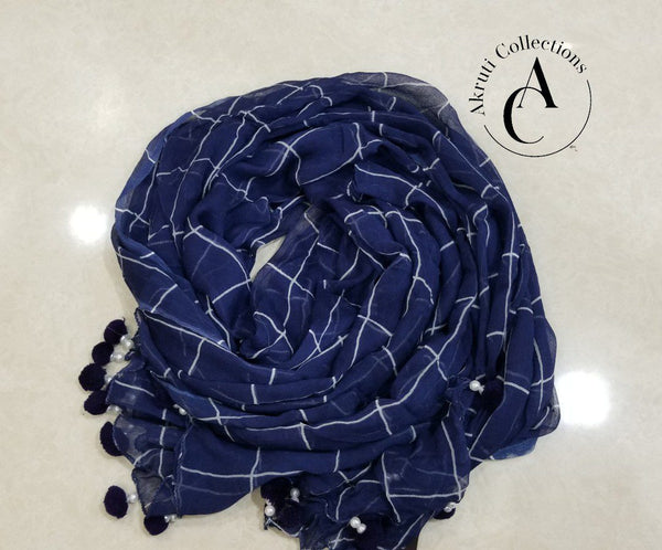 DP8761 - Dupatta