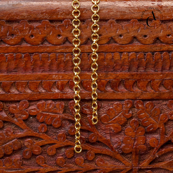 SL111- Silver Back Chain