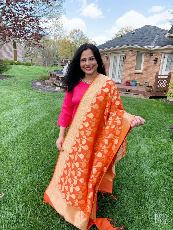 Indian Apparel Online